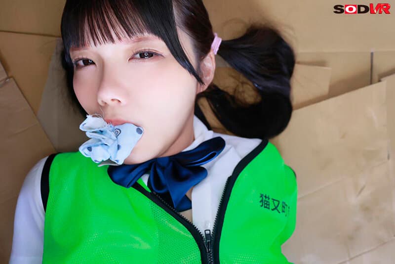 DSVR-1681 【VR】【8K】【高清追踪视角】捕捉假日参与社区垃圾清理的纯洁少女并施以淫行