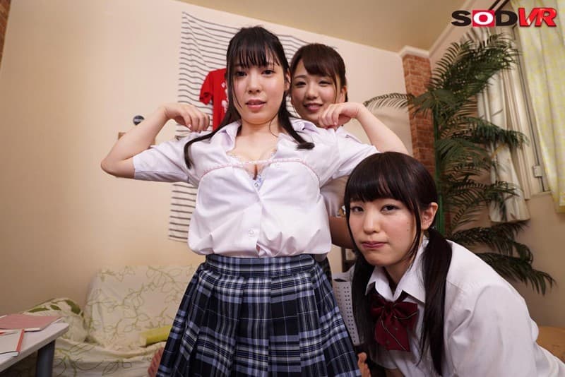 DSVR-313 【VR】妹が巨乳の友達を連れてきて僕の部屋で勉強会。パンチラ胸チラ見放題の中、巨乳に見とれる僕にブラコンの妹が嫉妬！それを面白がり友達の誘惑がエスカレートしそのままエッチに突入！妹も交えて4Pハーレムセックス！