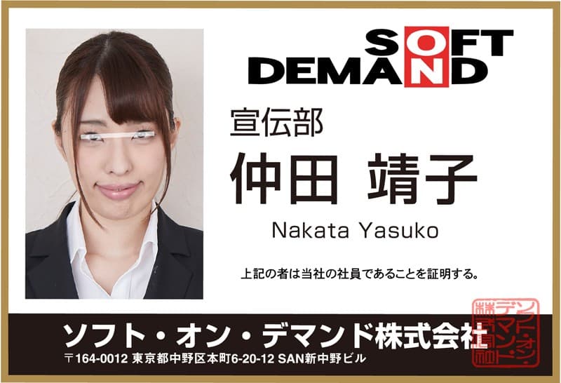 DSVR-244 【VR】SOD女子社員 うぶな新人女子社員6名6セックス特盛り4研修VR250分スペシャル【高感度調査?性教育?男優面接?筆下ろし研修】