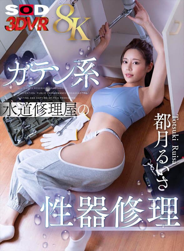 DSVR-1735 【VR】【8K】ガテン系水道修理屋の性器修理 都月るいさ
