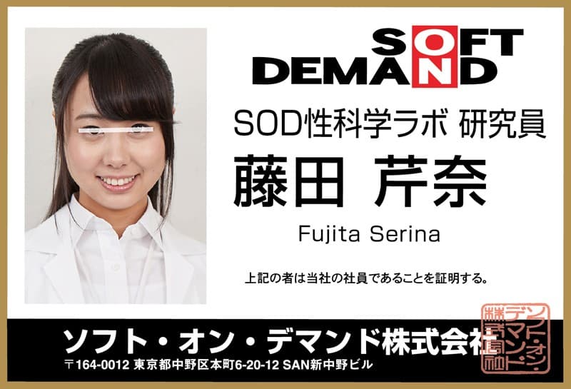 DSVR-238 【VR】おマ○コ見せつけVR SOD女子社員3名が超至近距離でおマ○コくっぱぁお花見宴会ゲームのおもてなし！ホロ酔い女子社員の中出し接待付き！