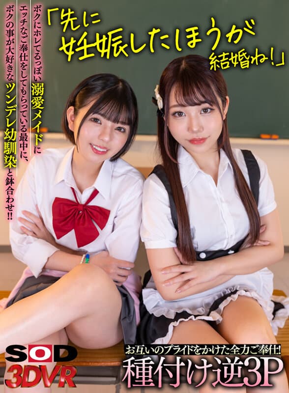 DSVR-1330 【VR】ボクにホレてるっぽい溺愛メイドにエッチなご奉仕をしてもらっている最中に、ボクの事が大好きなツンデレ幼馴染と鉢合わせ！！「先に妊娠したほうが結婚ね！」お互いのプライドをかけた全力ご奉仕！種付け逆3P