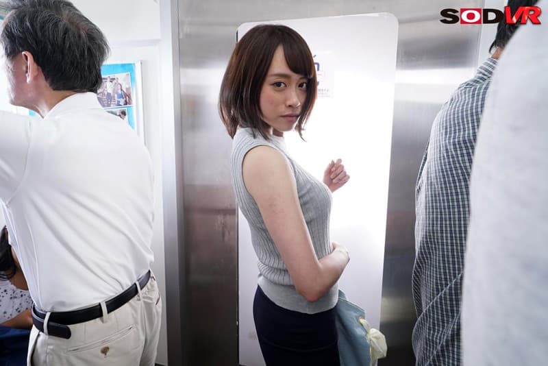 DSVR-344 【VR】超リアル 電車痴漢 2