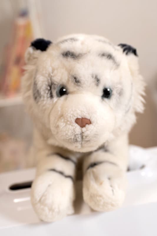 CAMI-224 【VR】僕は見ていた～ぬいぐるみ目線の女子部屋盗撮映像VR～ 伊佐木リアン