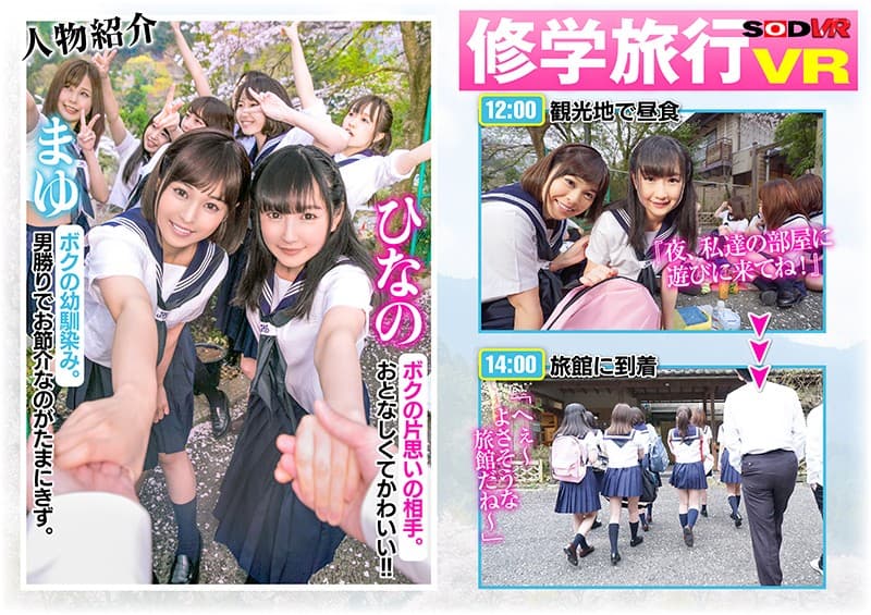 DSVR-269 【VR】めちゃモテ青春体験！修学旅行VR【長尺3時間?女風呂を心の目で覗き見した後、女子の部屋にしのびこんで片思いのあの子とコッソリSEX！さらに自分の部屋にもどって寝てたら、幼馴染みが逆夜這いしてきた1泊2日】