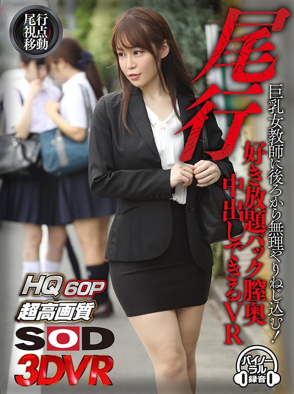 DSVR-554 【VR】尾行VR【追跡バック視点×HQ超高画質】巨乳女教師に後ろから無理やりねじ込む！好き放題バック膣奥中出しできるVR みながわ千遥